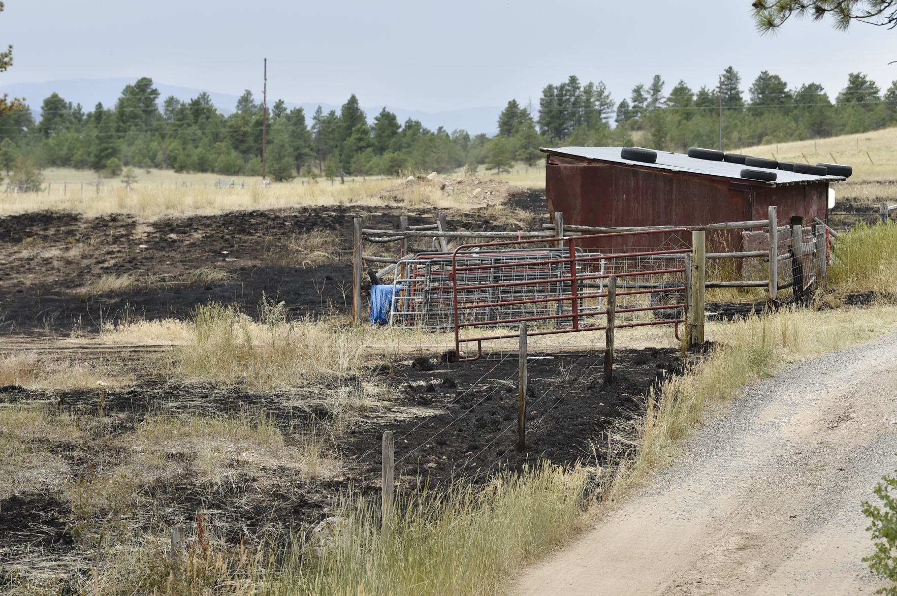 Burned grass around an out building